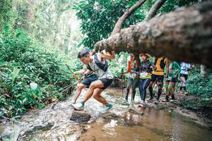 BIB: 
                            <button type="button" onclick="openModal(25373549)" class="btn btn-primary btn-sm float-right btn-popup" data-toggle="modal" data-target=".modal-high-quality">
                        <i class="fas fa-shopping-cart"></i> Add to Cart
                    </button>
                                            <button type="button" onclick="isThisMe(25373549, true)" class="btn btn-success btn-sm float-right btn-popup btn-isme hidden" data-toggle="tooltip" data-placement="bottom" title="นี่คือรูปของคุณใช่ไหม คลิกที่นี่เพื่อเอาเข้าอัลบั้ม">
                        <i class="fas fa-plus"></i> Add to album
                    </button>
                    <button type="button" onclick="isThisMe(25373549, false)" class="btn btn-warning btn-sm float-right btn-popup btn-isnotme hidden">
                        <i class="fas fa-ban"></i> Remove from album
                    </button>